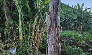 Terrain  721 m² à vendre à Saint-Denis (97490)