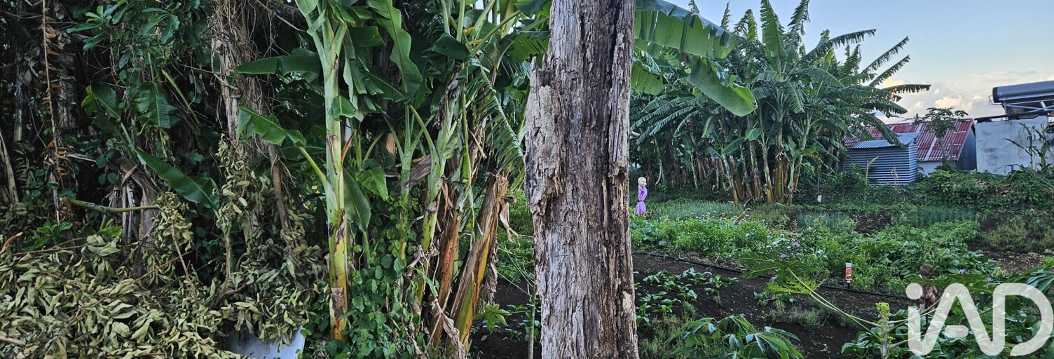 Terrain  721 m² à vendre à Saint-Denis (97490)