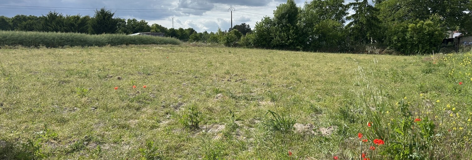 Terrain  772 m² à vendre à La Neuville-au-Temple (51400)