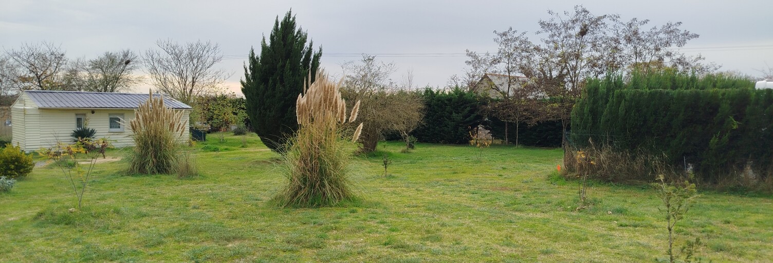 Photo N° 2