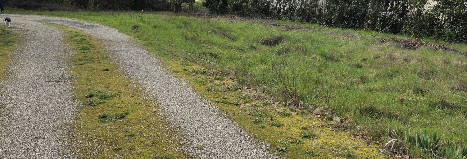 Terrain  676 m² à vendre à Montendre (17130)