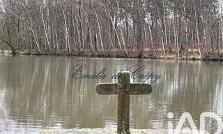 Maison 10 Pièces 280 m² à vendre à Lamotte-Beuvron (41600)