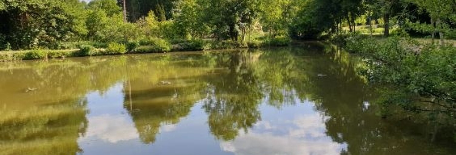 Terrain  11797 m² à vendre à Montreuil-le-Henri (72150)