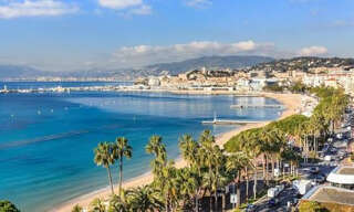 Commerce  60 m² à vendre à Cannes (06400)