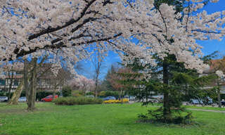 Appartement 4 Pièces 91 m² à vendre à Strasbourg (67000)