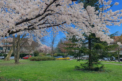 Appartement 4 pièces 320000 €