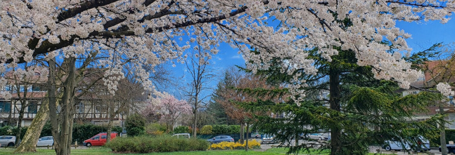 Appartement 4 Pièces 91 m² à vendre à Strasbourg (67000)