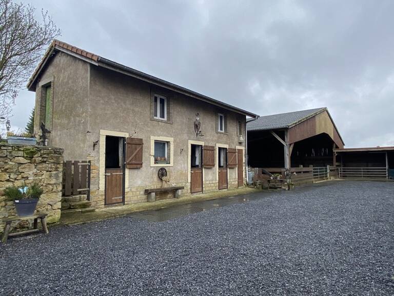 Propriété équestre avec maison, grange et prairies – Village calme proche frontières - Doncourt Les Longuyon (54) — photo 1