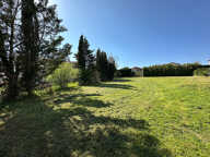 PROJET NEUF SAINTE CONSORCE — photo 2