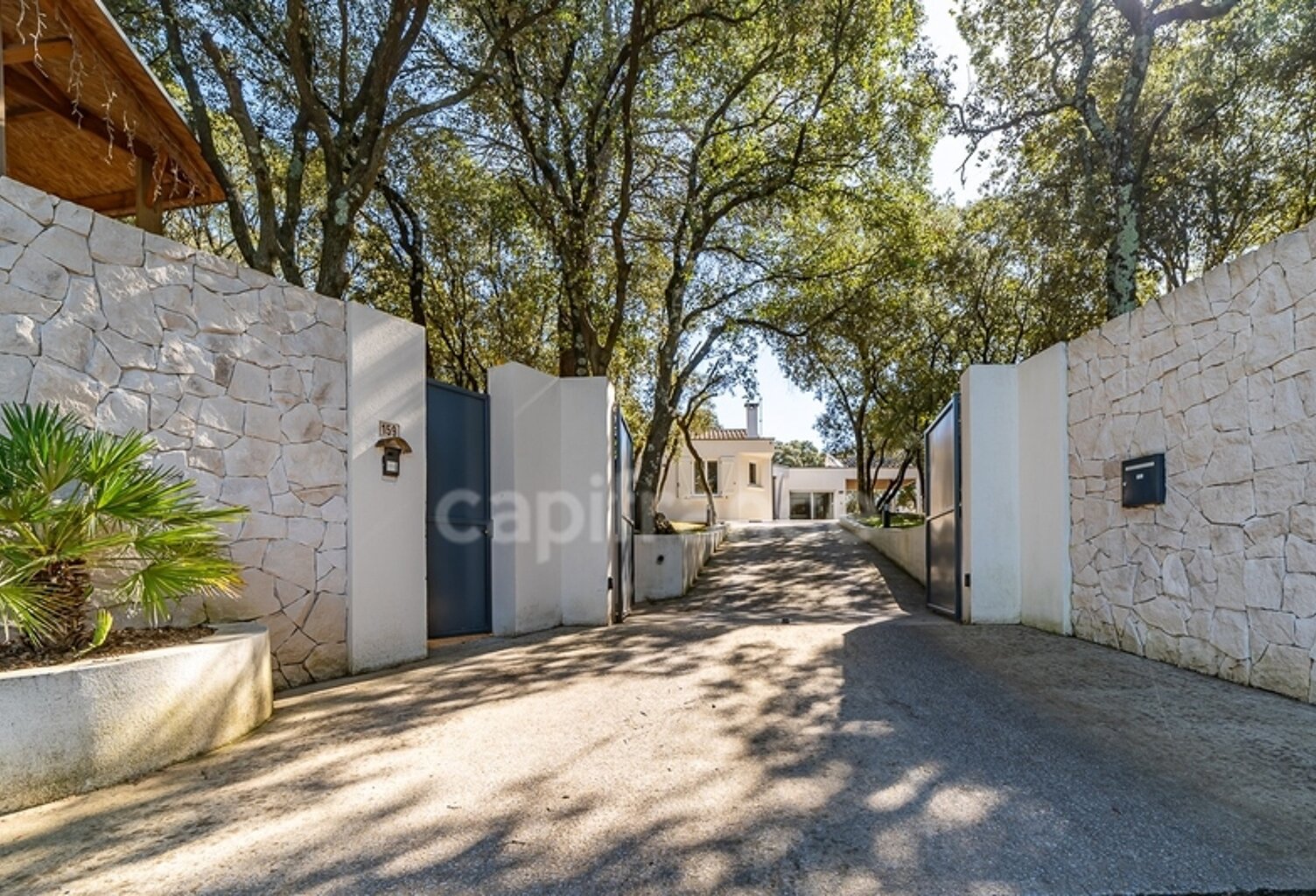 En exclusivité à Saint Jean de Cornies — photo 1