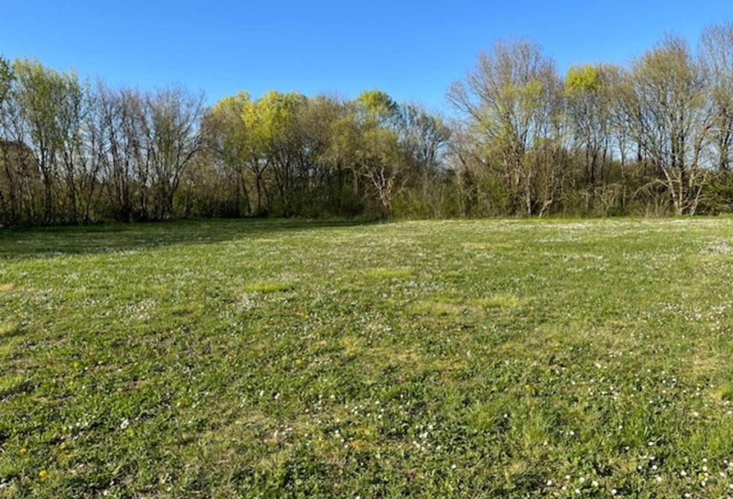 Terrain 2000m² proche  St jean d'Angèly — photo 1