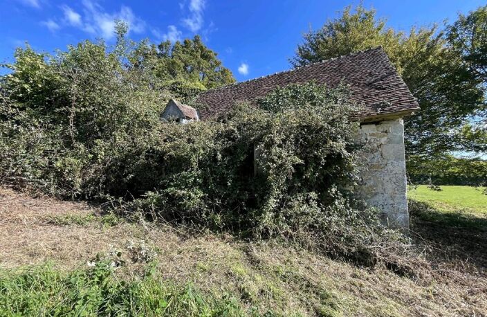 MERLERAULT-LE-PIN — photo 2