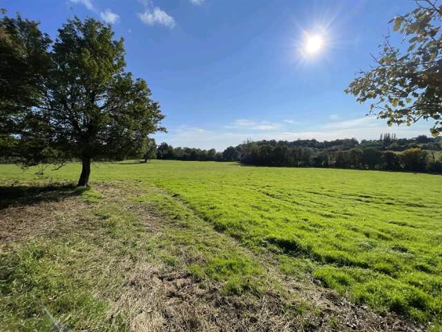 MERLERAULT-LE-PIN — photo du bien