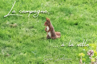 Maison 8 pièces 575000 €