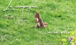 Maison 8 Pièces 241 m² à vendre à Montivilliers (76290)