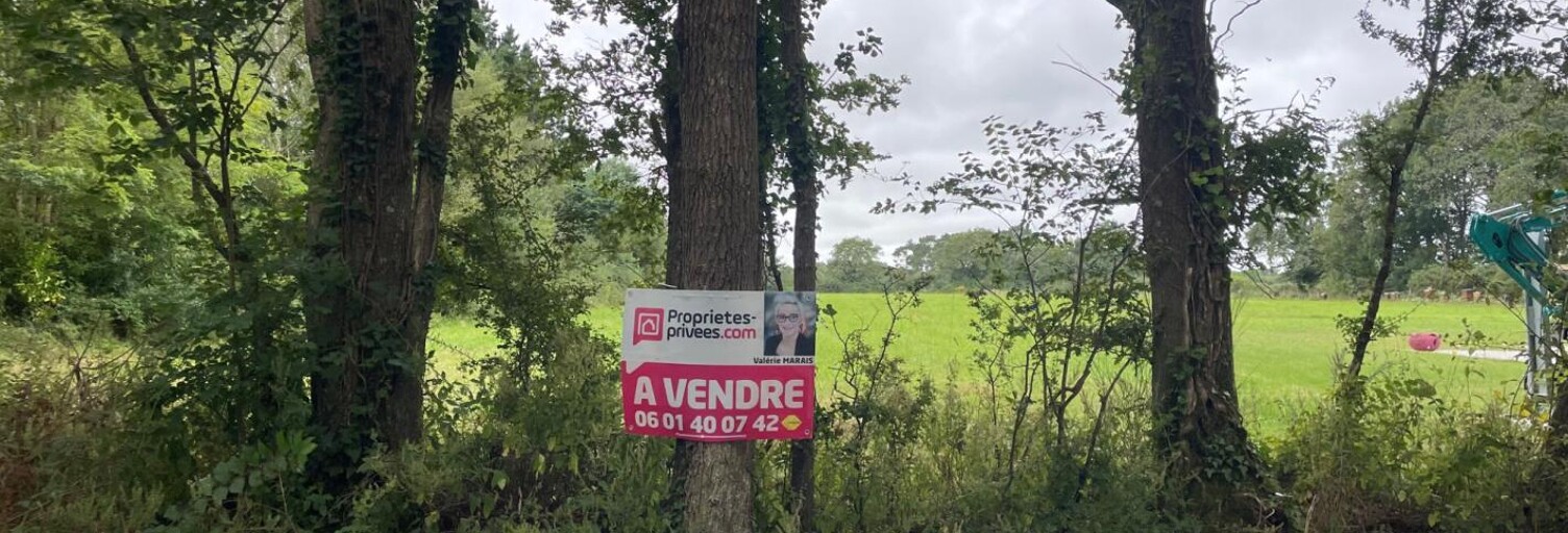 Terrain  4714 m² à vendre à Saint-Lyphard (44410)