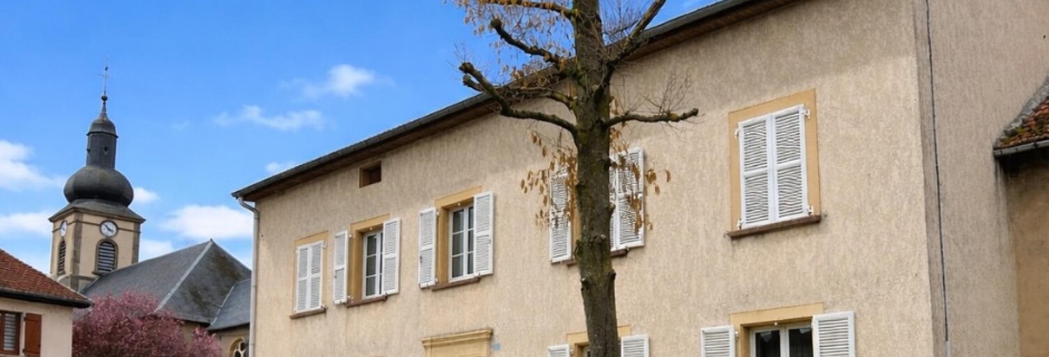 Maison 9 Pièces 235 m² à vendre à Dieuze (57260)