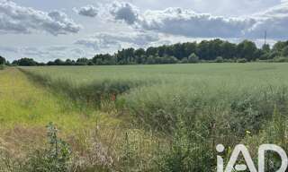 Terrain  600 m² à vendre à La Neuville-au-Temple (51400)