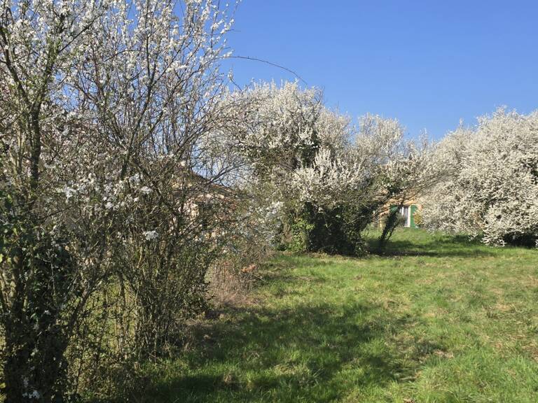 Vente Terrain 1 213 m&sup2; — photo 1