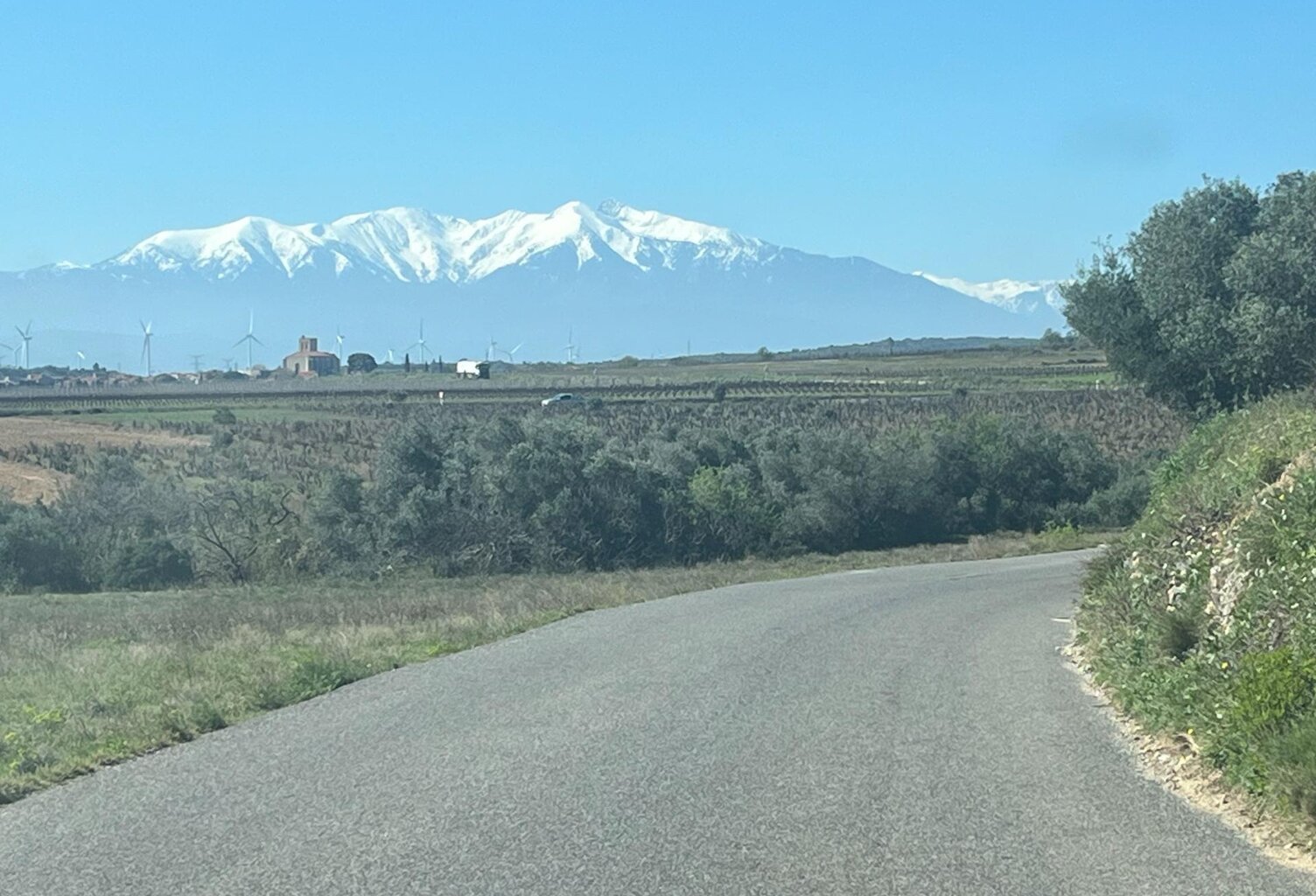 Terrain agricole plat de 1 hectare — photo 1