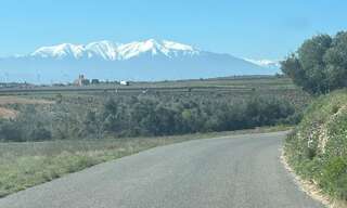 Terrain  9900 m² à vendre à Baixas (66390)