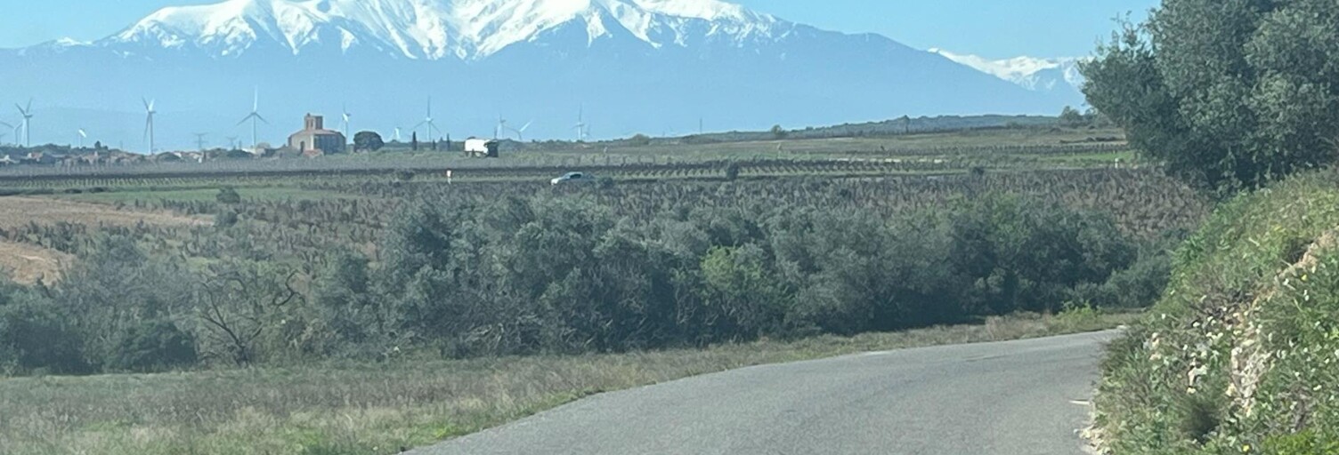 Terrain  9900 m² à vendre à Baixas (66390)