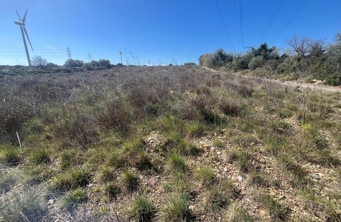 Terrain agricole plat de 1 hectare — photo 2