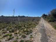 Terrain agricole plat de 1 hectare — photo 3