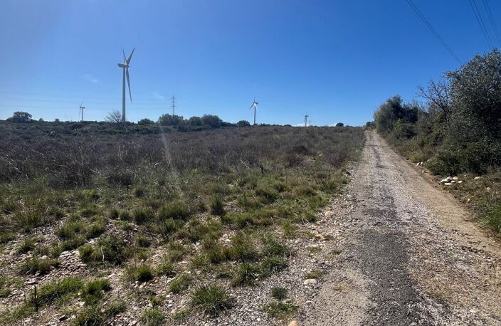 Terrain agricole plat de 1 hectare — photo 3