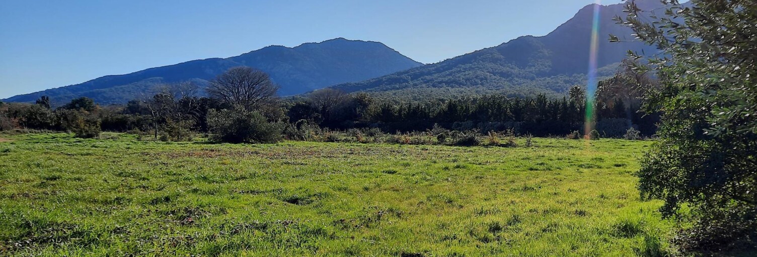 Terrain  518 m² à vendre à Sorède (66690)