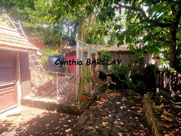 Terrain — photo 1