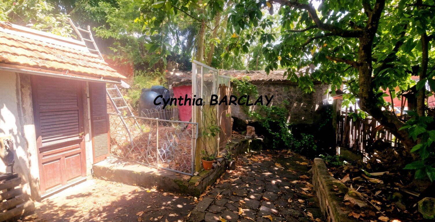 Terrain — photo 1