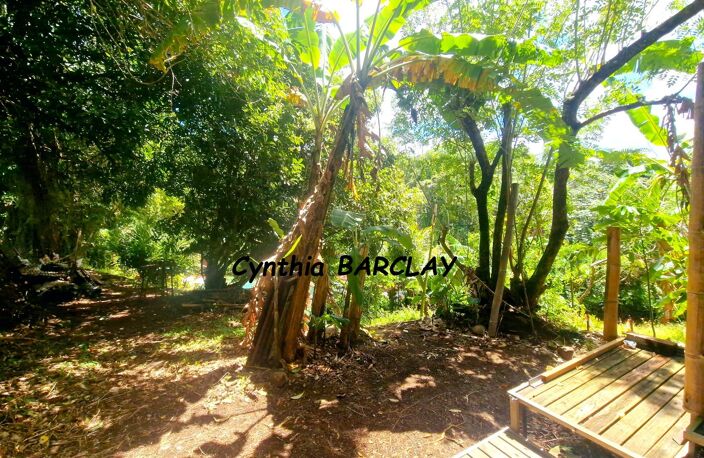 Terrain — photo 5