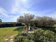 Maison familiale de type Languedocienne de 127,50 m2   Envir — photo 4