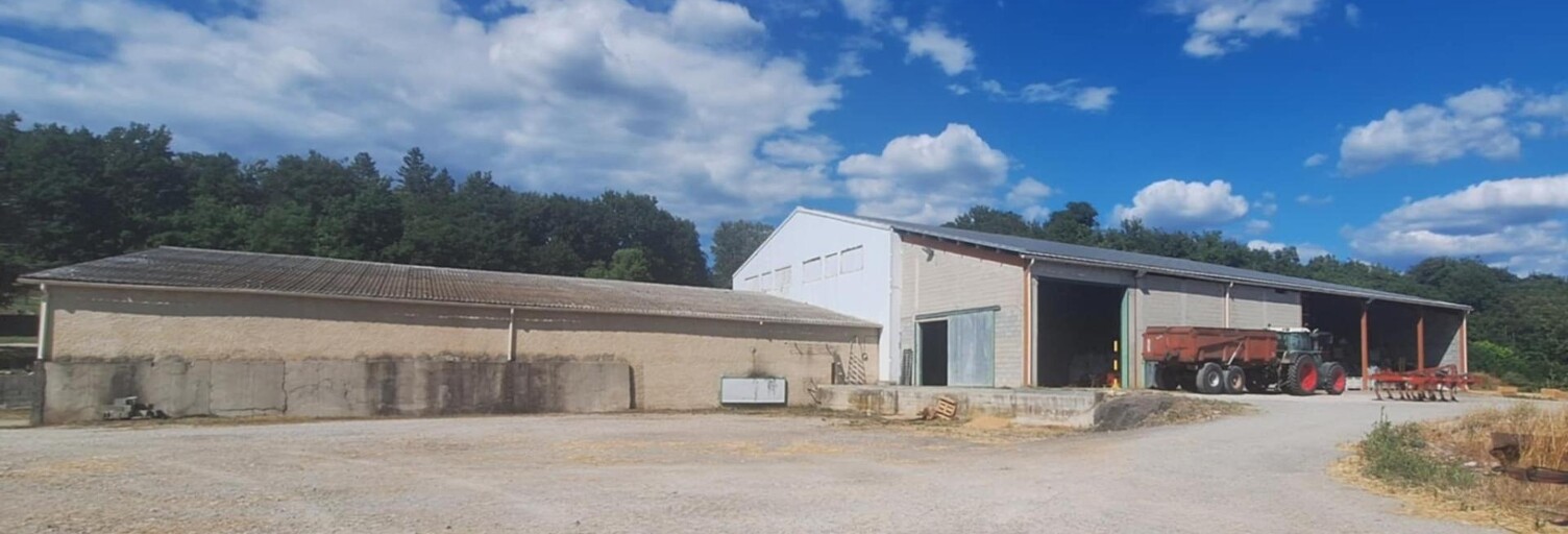 Commerce 6 Pièces 2200 m² à vendre à Niozelles (04300)