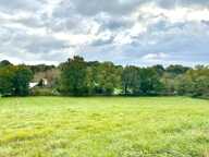 SABONNERES - Beau terrain de 3204 m2, rare ! — photo 2