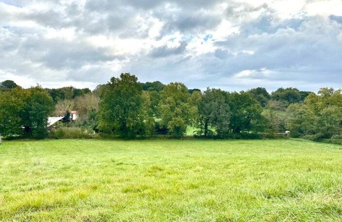 SABONNERES - Beau terrain de 3204 m2, rare ! — photo 2