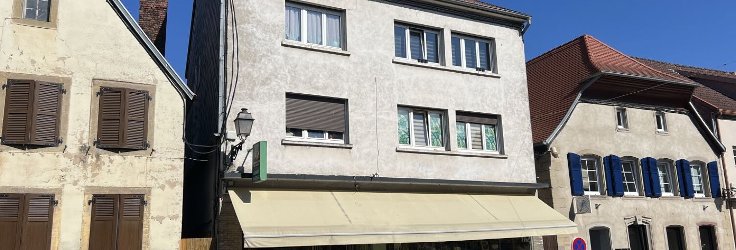 Immeuble  170 m² à vendre à Sarralbe (57430)