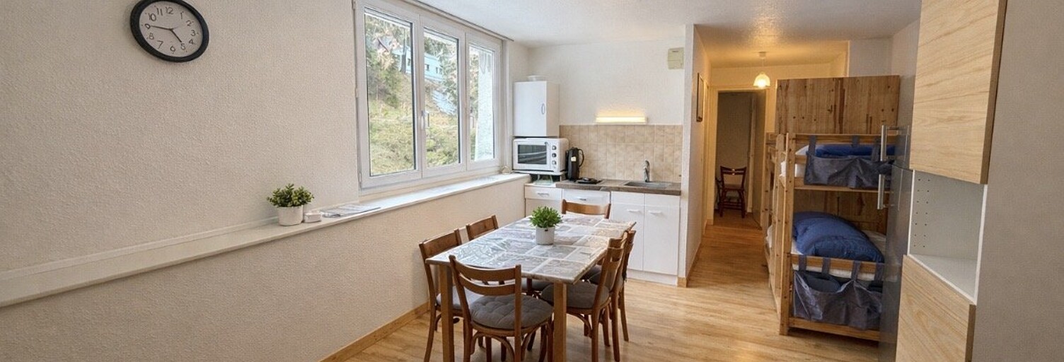 Appartement 2 Pièces 29 m² à vendre à Laveissière (15300)