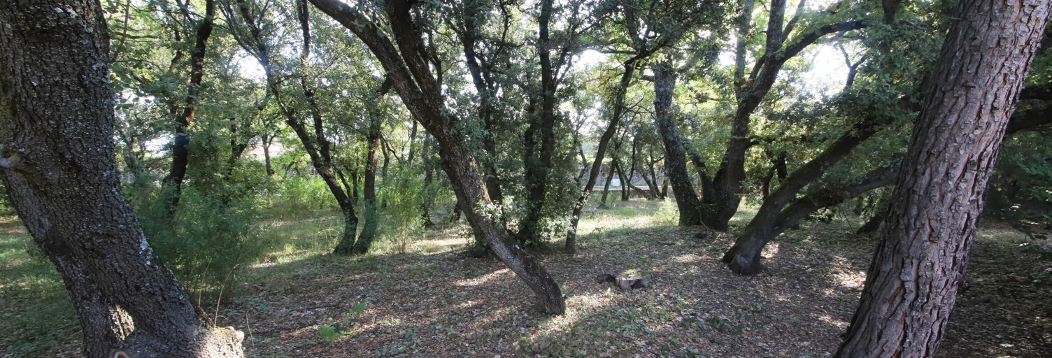 Terrain  1000 m² à vendre à Pernes-les-Fontaines (84210)