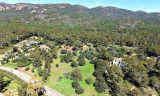 Terrain  6681 m² à vendre à Puget-sur-Argens (83480)