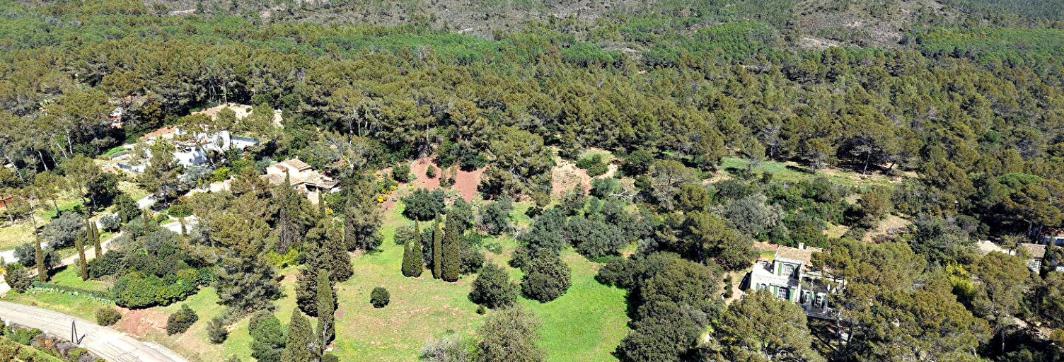 Terrain  6681 m² à vendre à Puget-sur-Argens (83480)