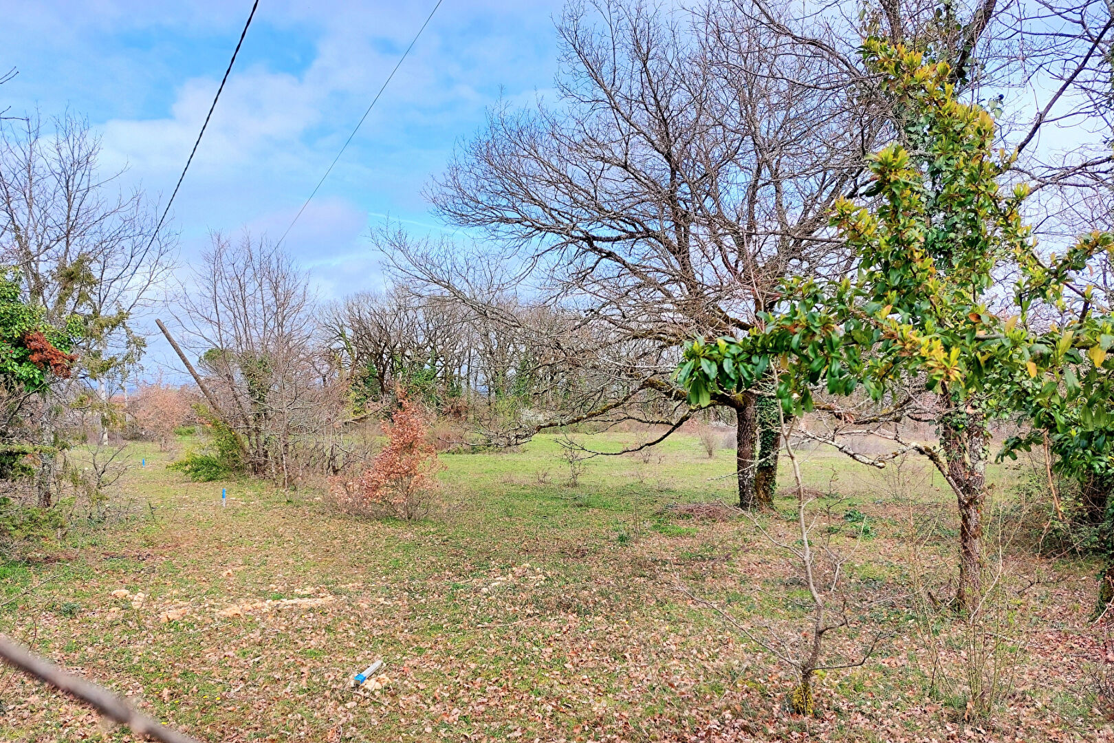 Terrain  à vendre Albi 81000