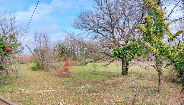 Terrain  à vendre Albi 81000