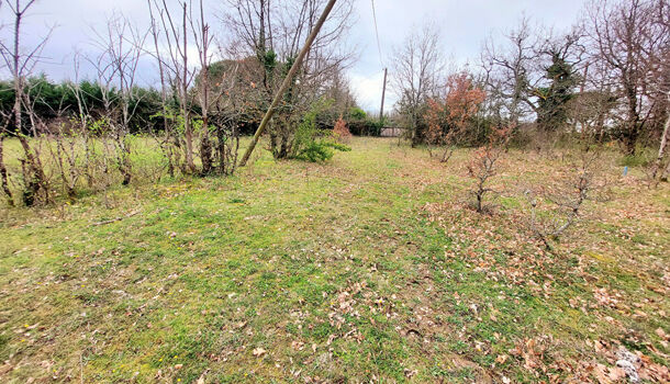 Terrain  à vendre Albi 81000