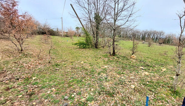 Terrain  à vendre Albi 81000