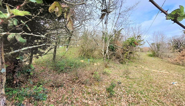 Terrain  à vendre Albi 81000