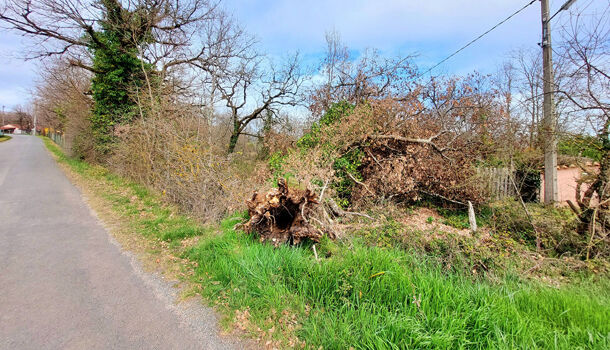 Terrain  à vendre Albi 81000