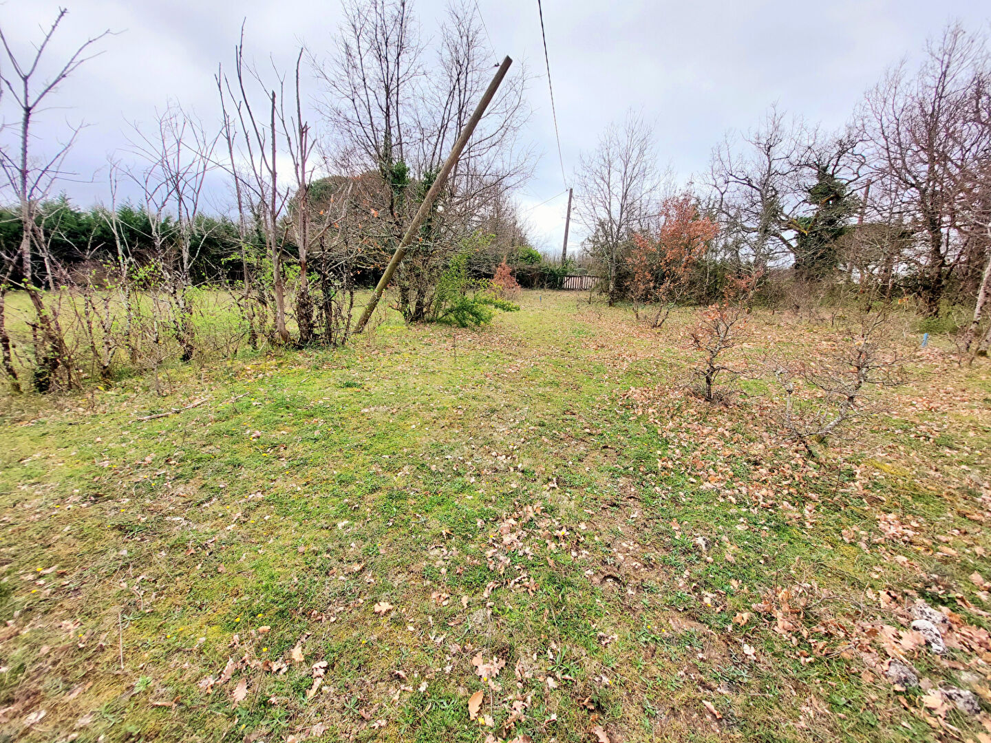  Terrain 1753 m²