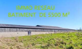 Immeuble  5500 m² à vendre à Saint-Hilaire-de-Riez (85270)